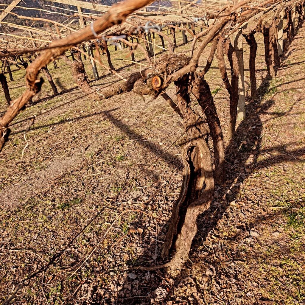 Instagram post from eldevinos. This post is in position 3.