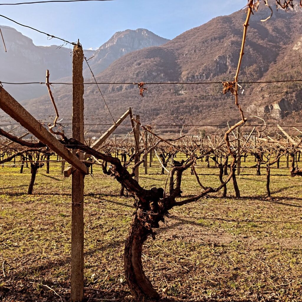 Instagram post from eldevinos. This post is in position 2.