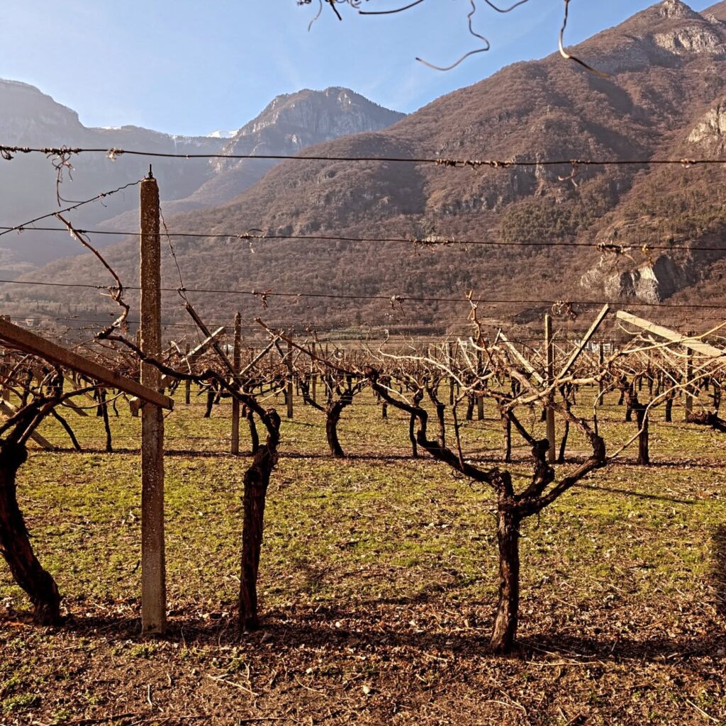 Instagram post from eldevinos. This post is in position 4.